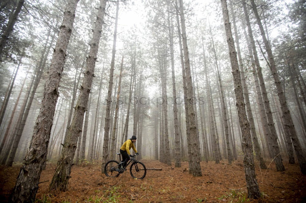 Waschküche Fahrrad Herbst