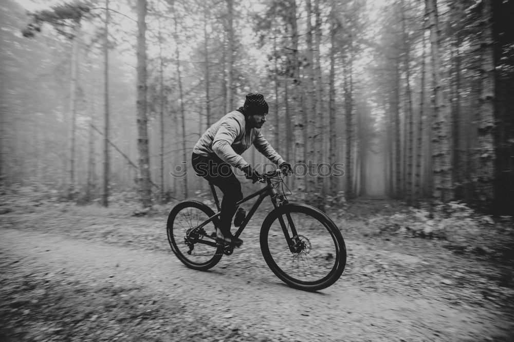 Similar – Foto Bild Steilflug Fahrrad Wald