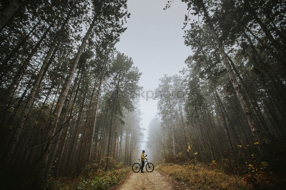 Similar – Cyclist Riding the Bike at Sunset. Sports Concept