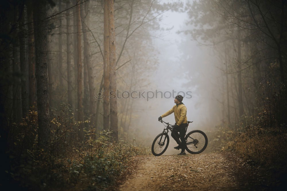 Similar – Cyclist Riding the Bike at Sunset. Sports Concept