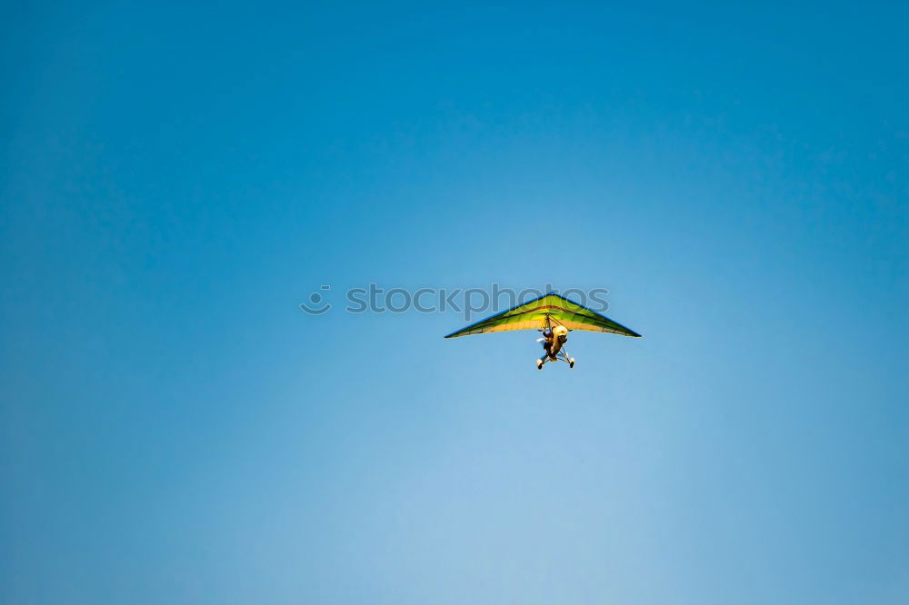 Image, Stock Photo canary bird Tree Animal