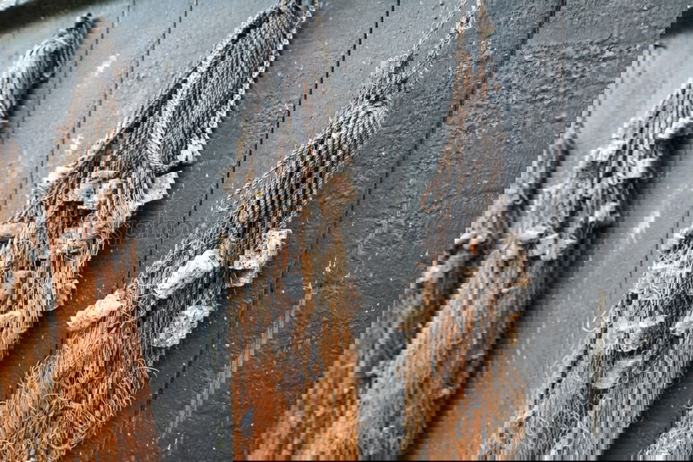 Similar – Image, Stock Photo delta Wall (barrier)