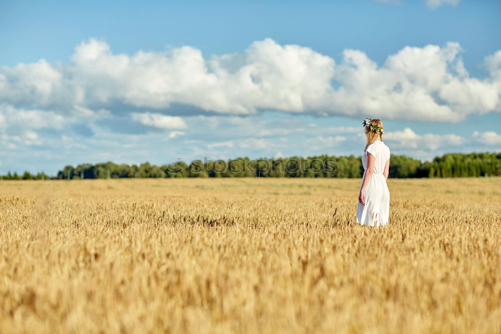 Similar – cornfield Human being