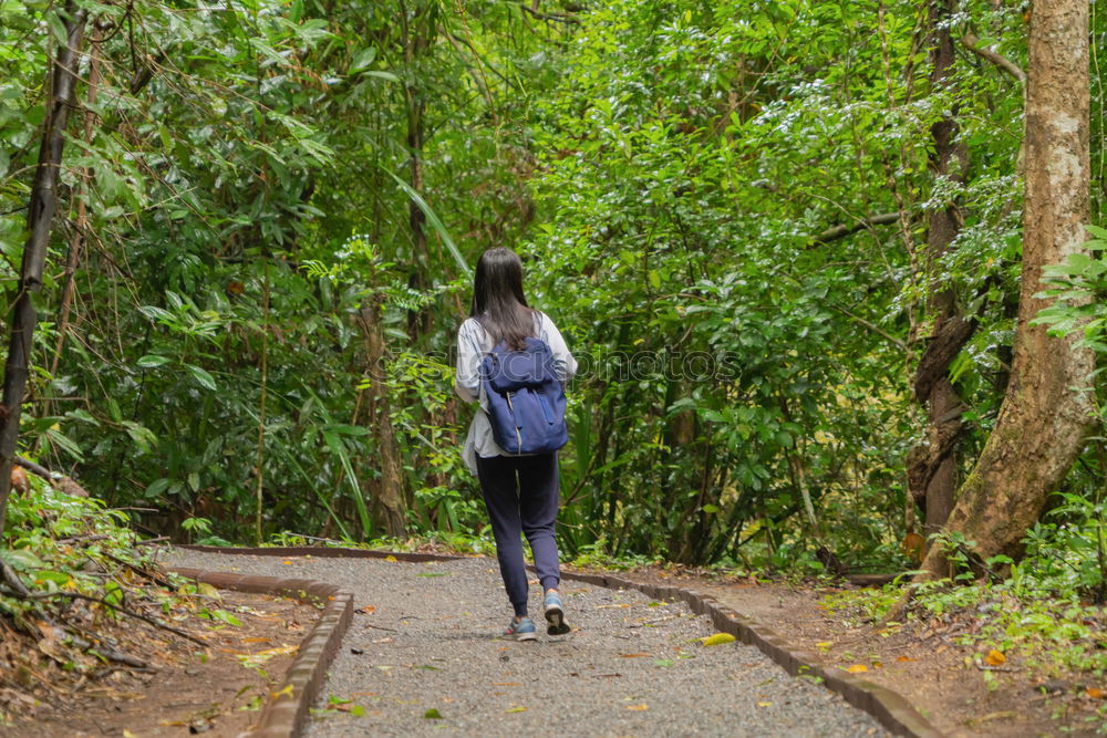 Similar – Woman climbing stairs in the forest