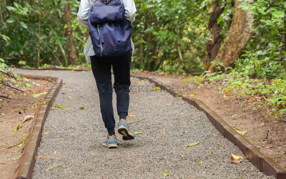 Similar – Woman climbing stairs in the forest