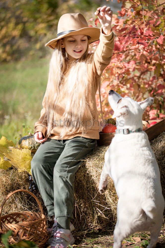 Similar – Image, Stock Photo happy child girl enjoying summer vacations with her dog