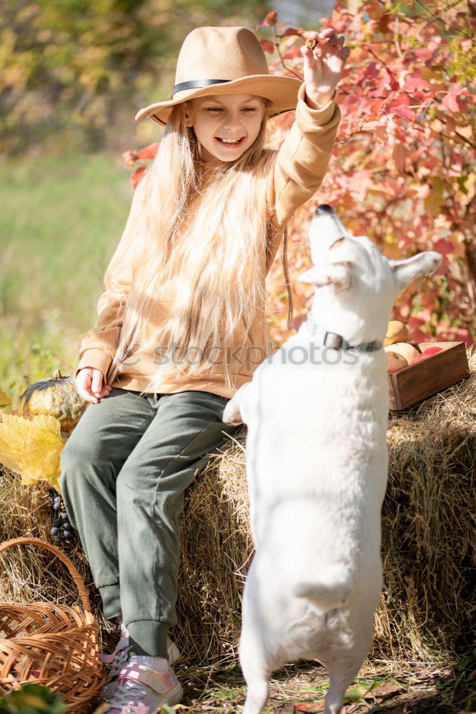 Similar – Brothers playing in the field.Children take pictures in the straw field