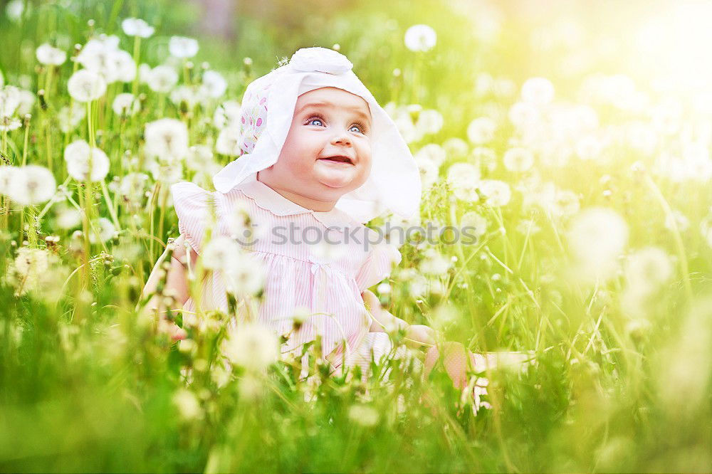 Similar – Image, Stock Photo One summer day IV