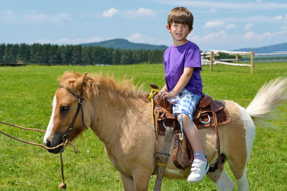 Similar – Image, Stock Photo Galopper of the year