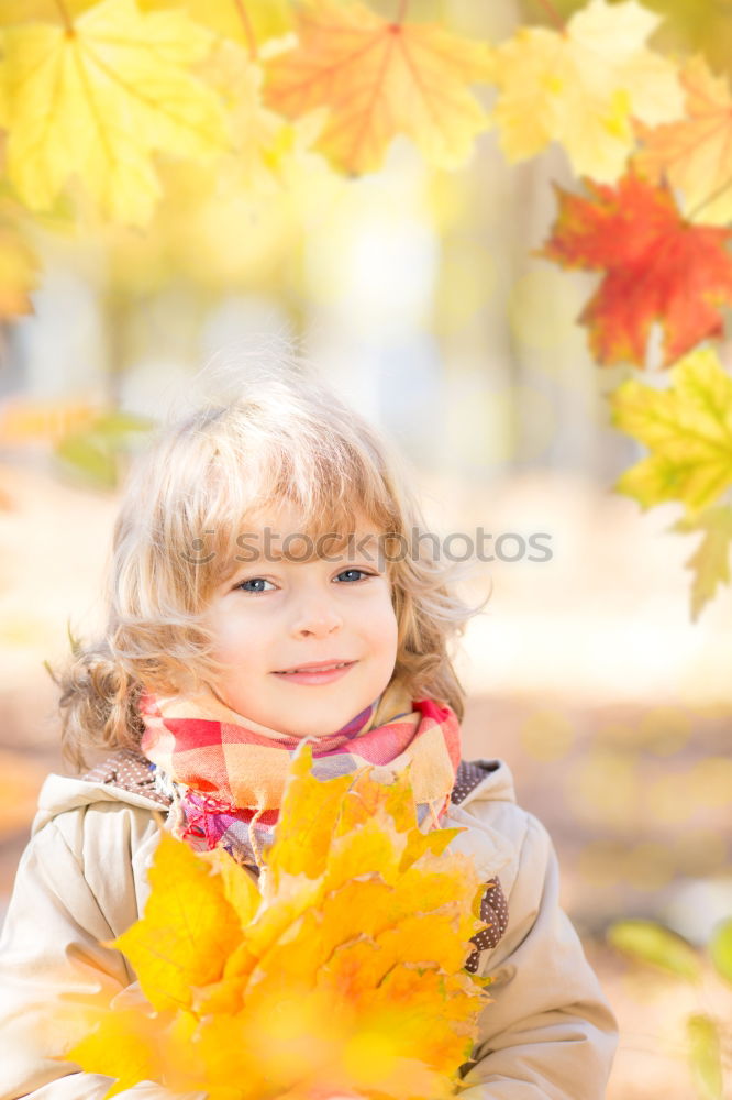 Similar – Image, Stock Photo Girl with bouquet from sheets in autumn