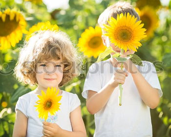 Similar – boy playing in sunflower field