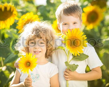 Similar – boy playing in sunflower field