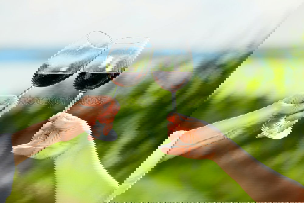 Similar – Image, Stock Photo White wine in a garden with wine glasses