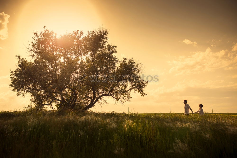 Similar – Beautiful little girl and her dog playing at sunset together