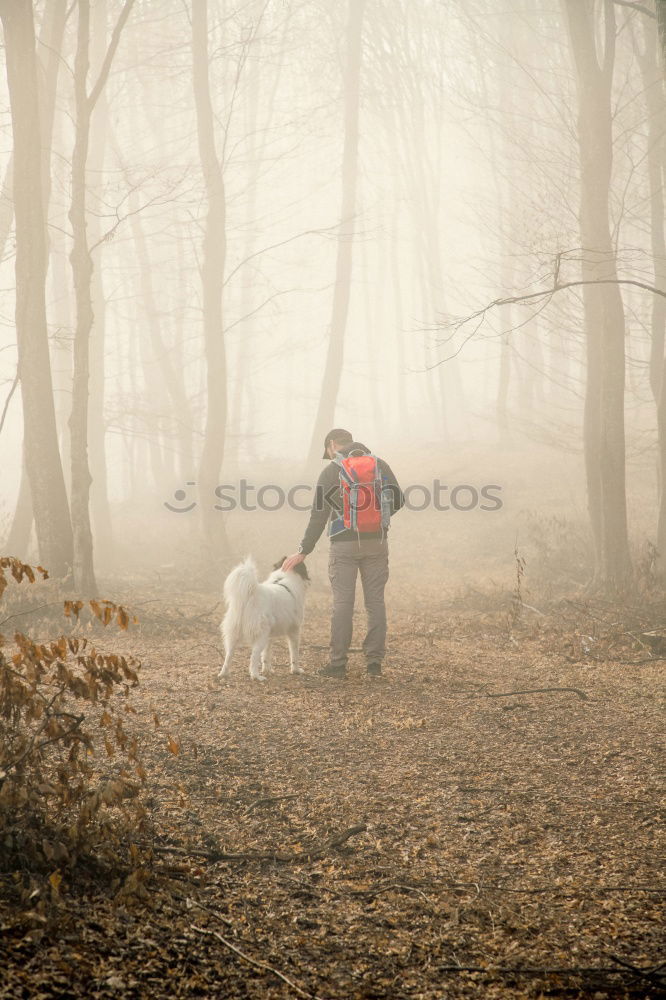 Similar – Image, Stock Photo Family hike