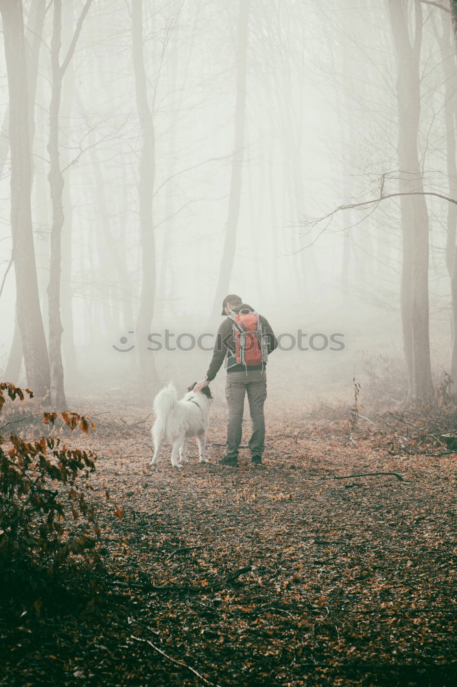 Similar – Dog Dalmatian sits with man master at the lake