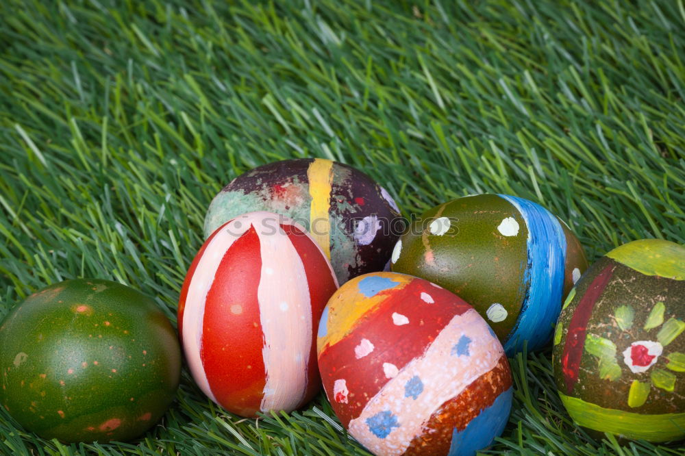 Similar – three colourful Easter eggs lie on flowering daisies in a meadow