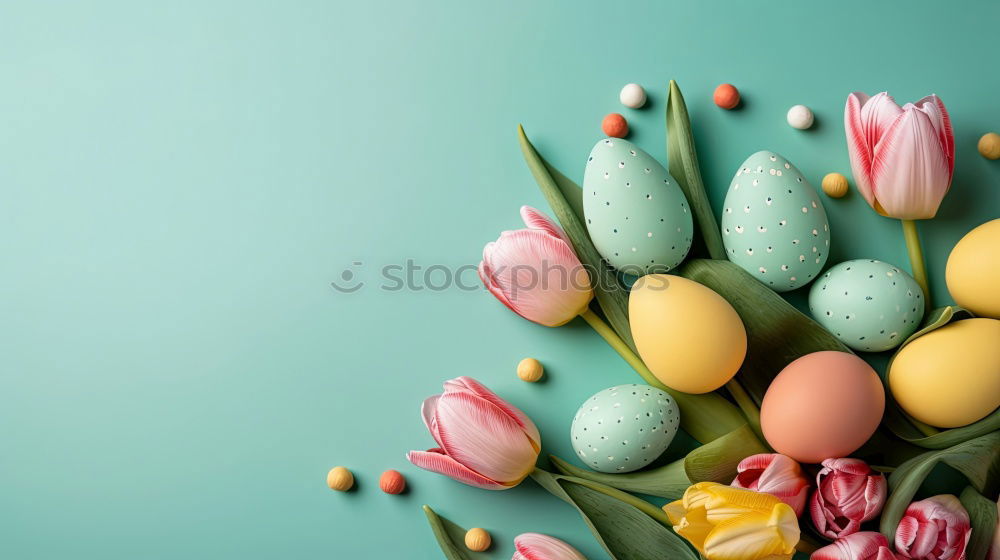 Similar – Image, Stock Photo Easter card with eggs and pink flowers decoration