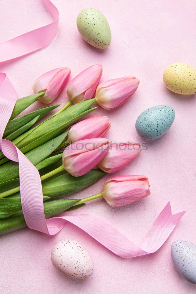 Similar – Image, Stock Photo Easter decoration with tulips and eggs