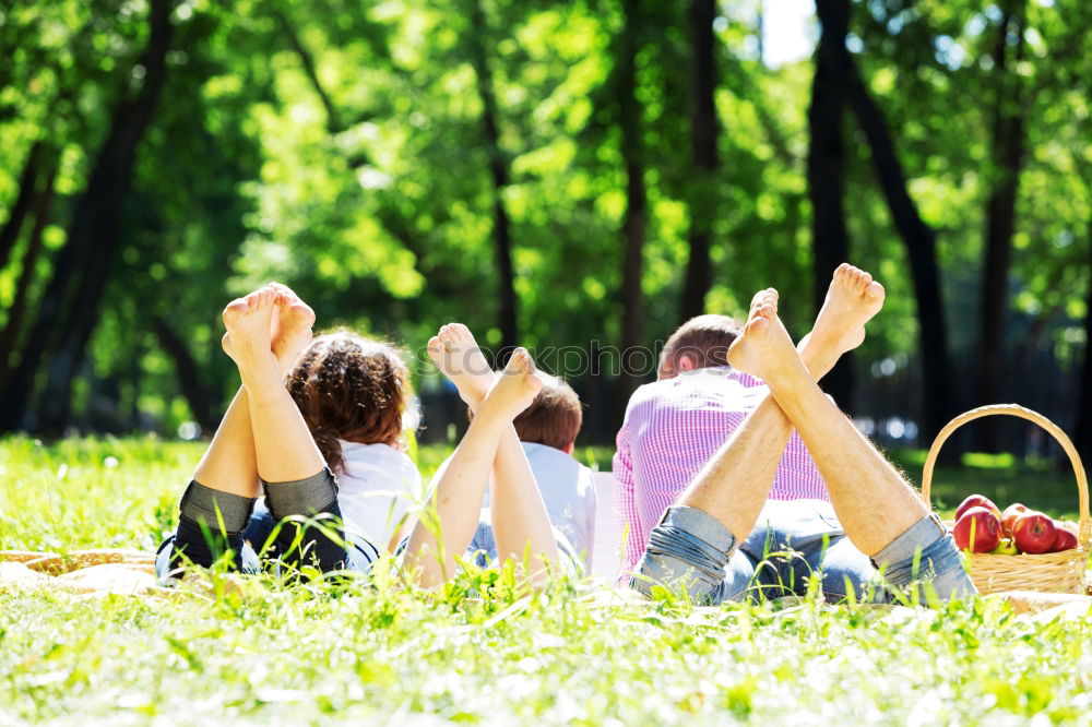 Similar – Image, Stock Photo Picnic in the sun Happy