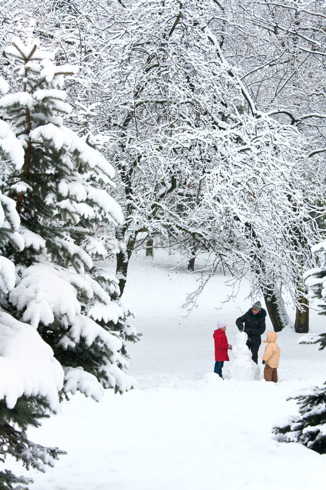 Similar – Family, mother and two daughters, spending time together walking outdoors in winter. Woman is pulling sled with her little daughter, a few years old girl, through forest covered by snow while snow falling, enjoying wintertime. Mother is wearing red winter