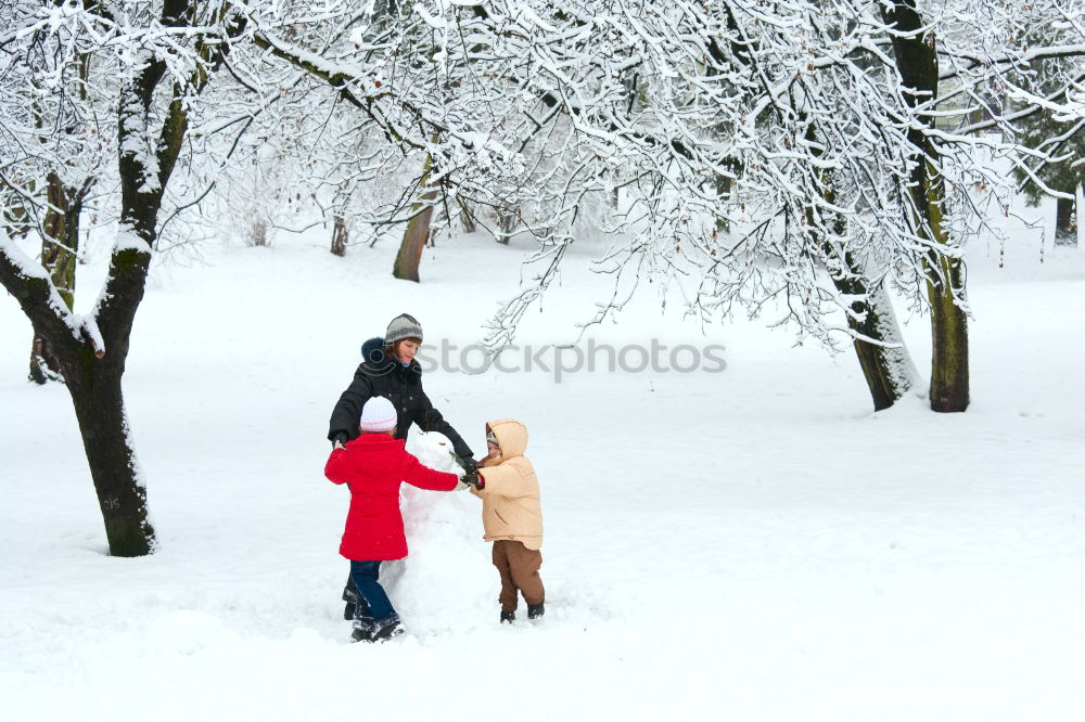 Similar – Family, mother and two daughters, spending time together walking outdoors in winter. Woman is pulling sled with her little daughter, a few years old girl, through forest covered by snow while snow falling, enjoying wintertime. Mother is wearing red winter