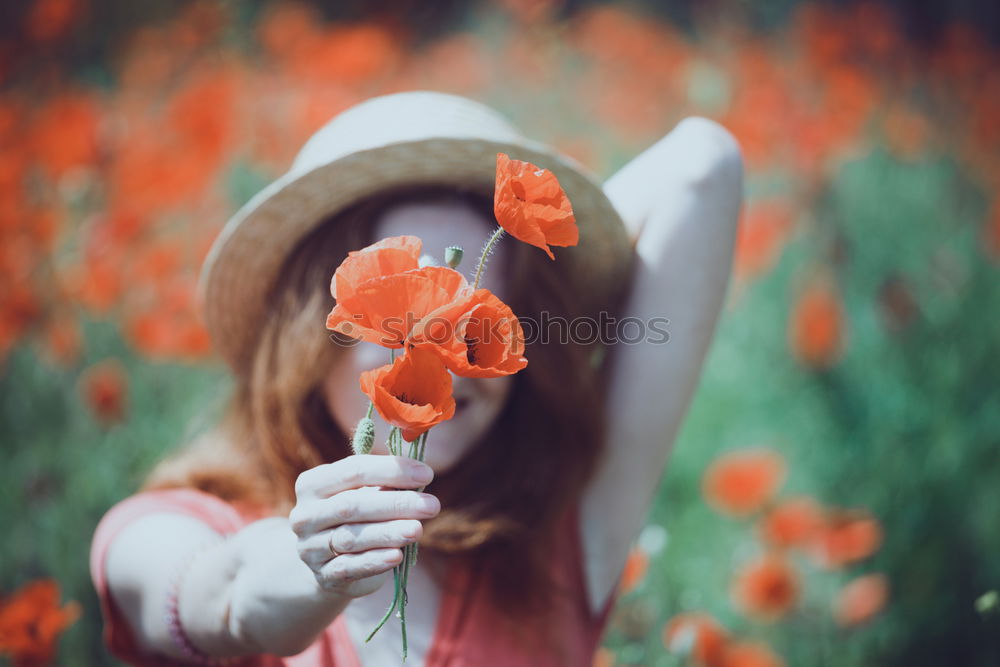 Similar – Beautieful young girl in the field of wild flowers