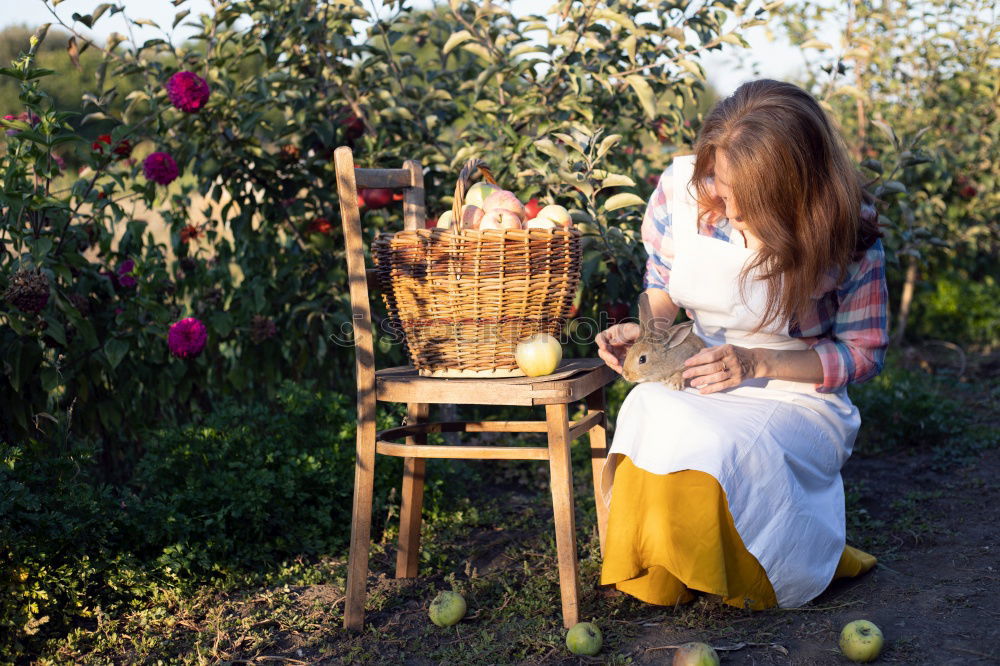 Similar – Image, Stock Photo Country life dream