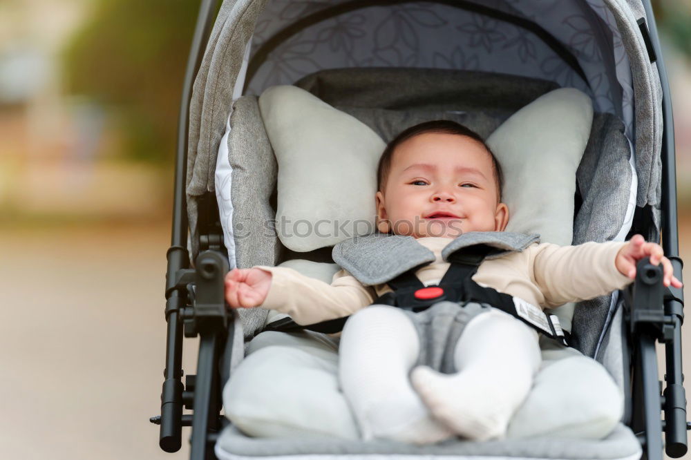 Similar – Little toddler in sitting stroller.