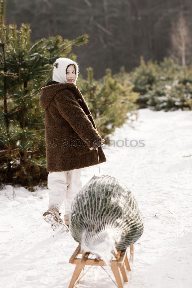 Similar – Winter Young woman