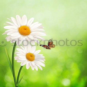 Similar – Image, Stock Photo robots Robot Meadow Grass