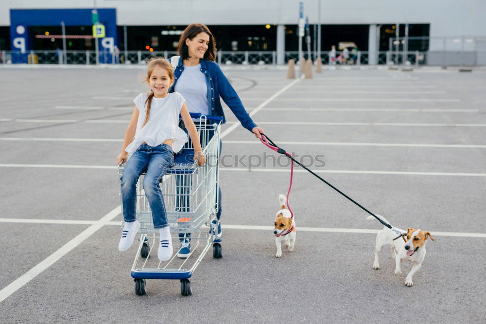 Image, Stock Photo Man fixing wheelchair on dog