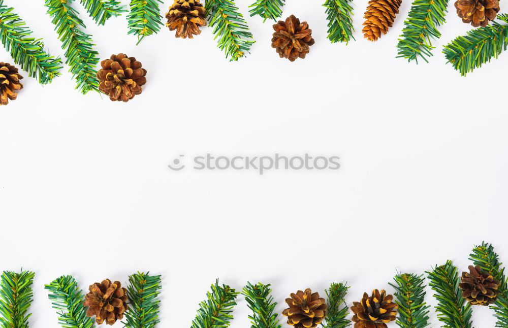 Similar – Image, Stock Photo Fir twigs, Christmas wreaths and jingle bells.