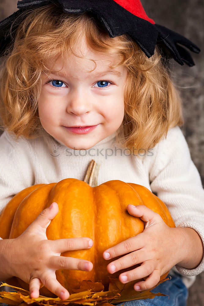 Similar – Image, Stock Photo Adorable girl todler embracing pumpkins on an autumn field