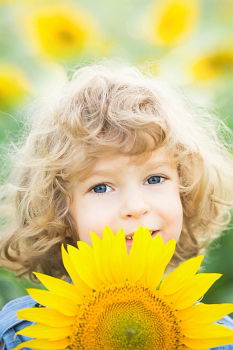 boy playing in sunflower field