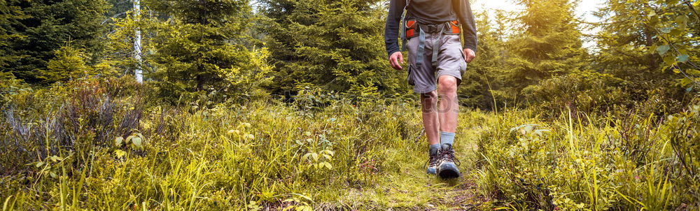 Similar – Image, Stock Photo Jule in the woods.