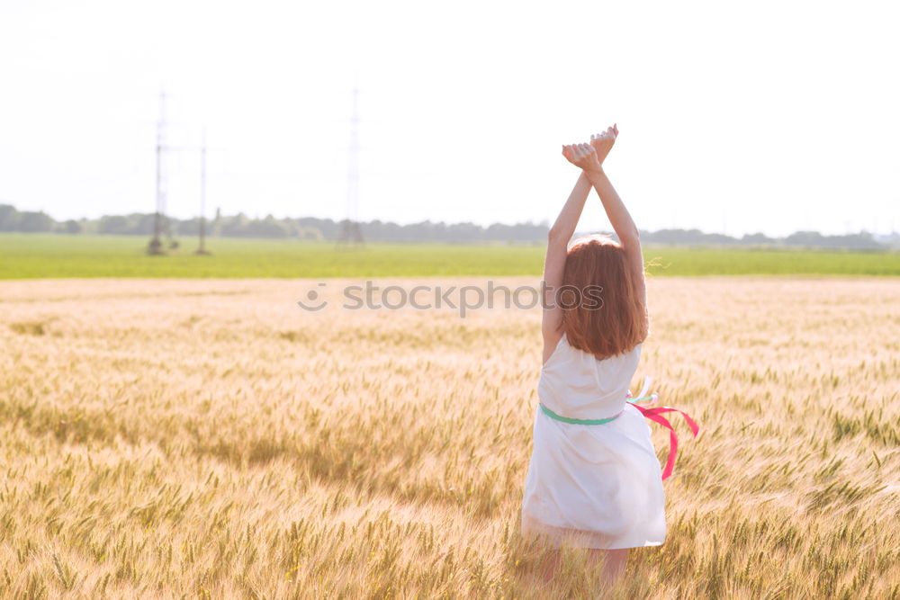 Similar – Hand holding a cowboy hat over a field of wheat