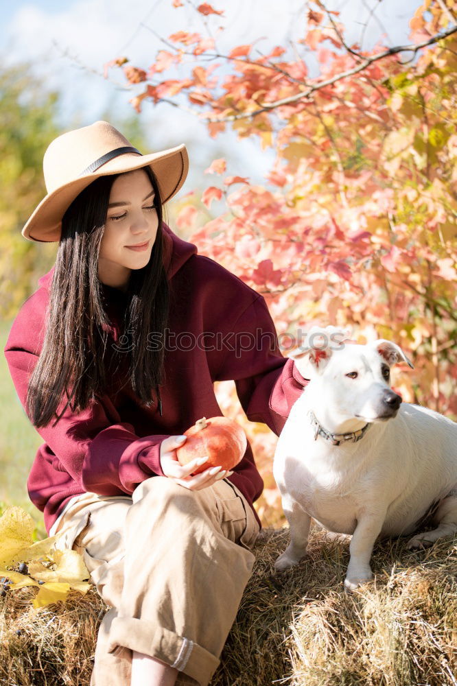 Image, Stock Photo Smiling woman with dog