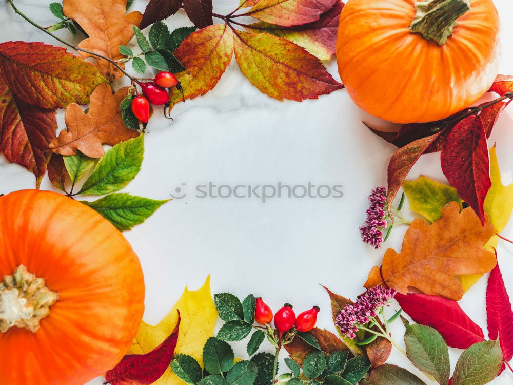 Similar – Autumn still life with pumpkins and autumn leaves