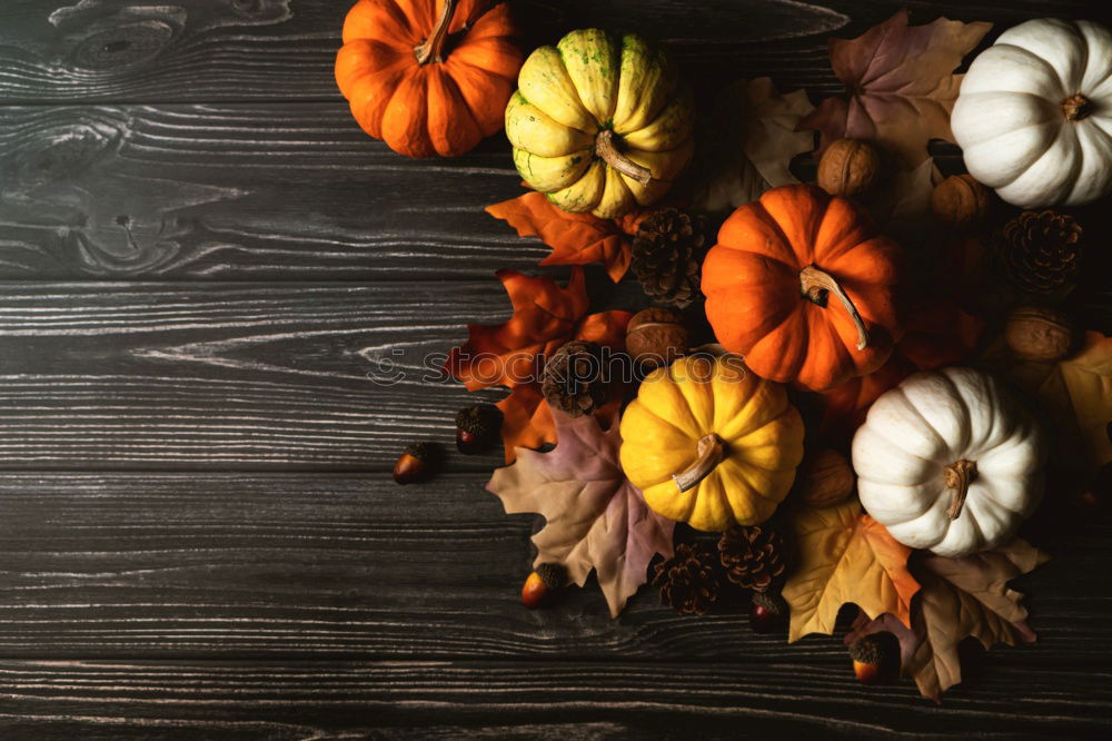 Similar – top view of cozy autumn breakfast on table