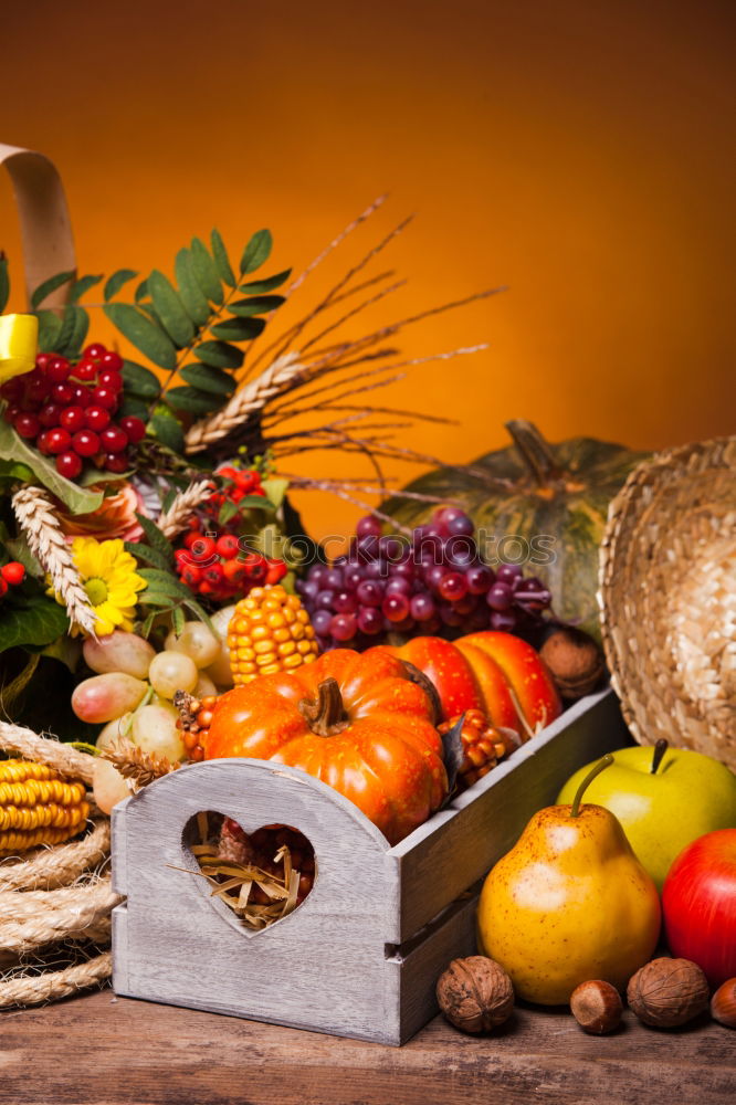 Similar – Image, Stock Photo Pumpkin and autumn vegetables on the kitchen table