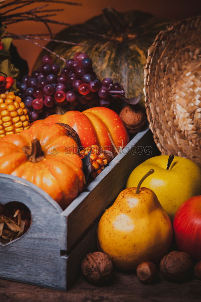 Similar – Image, Stock Photo Pumpkin and autumn vegetables on the kitchen table