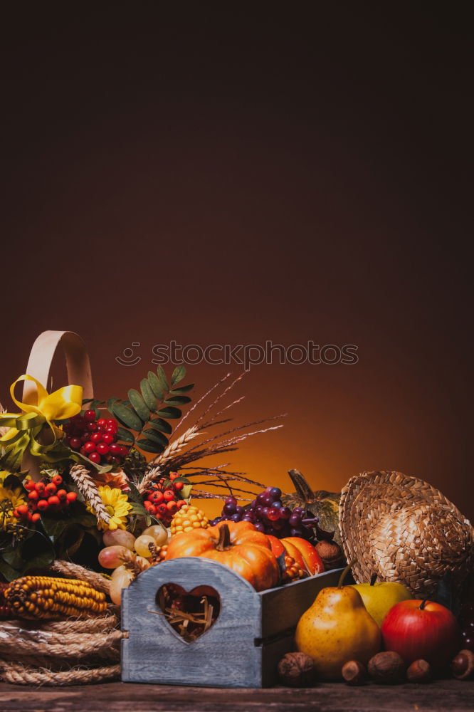 Similar – Image, Stock Photo Various vegetables at market