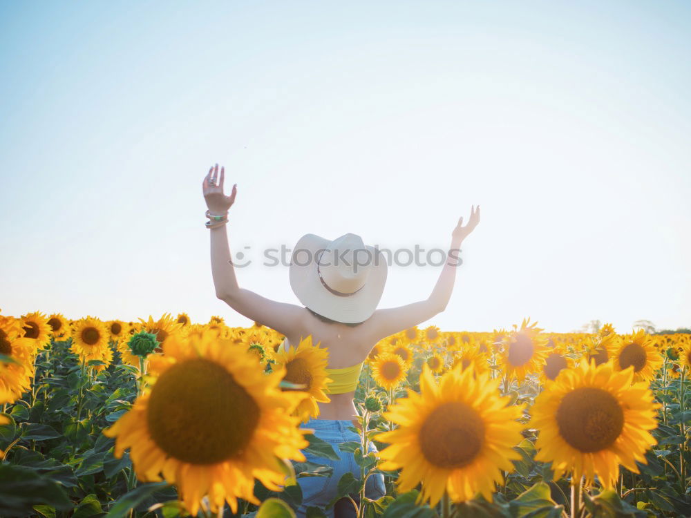 Similar – Image, Stock Photo woman in sunflower field, spain