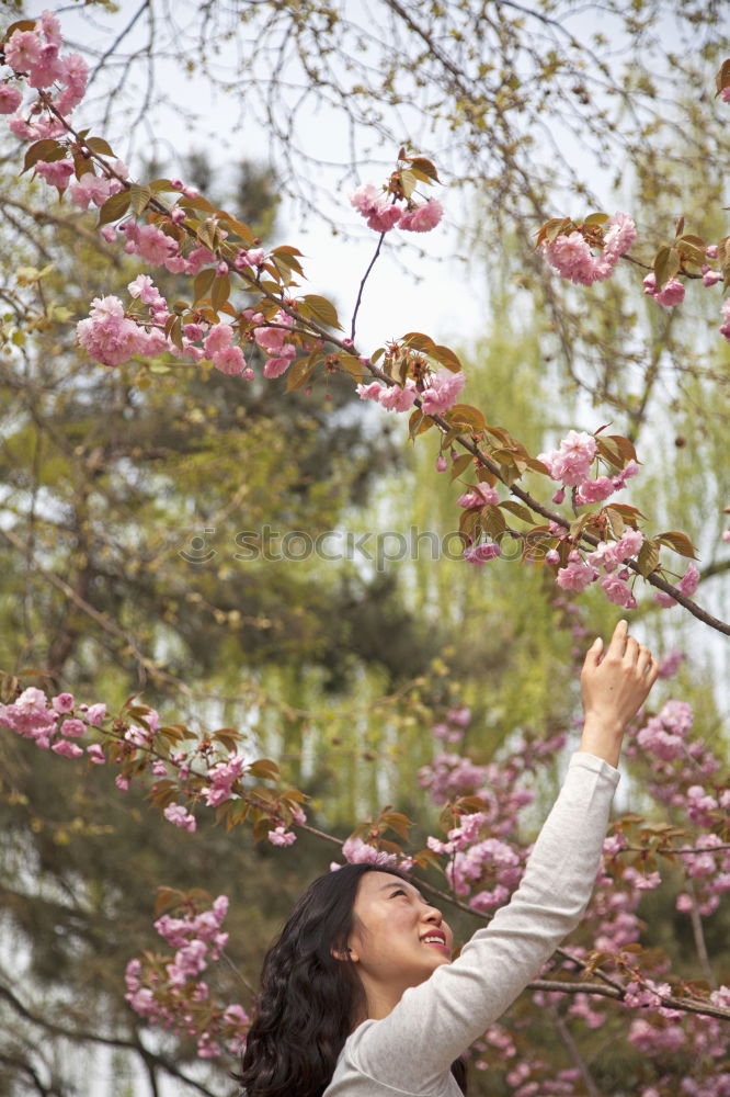 Similar – Image, Stock Photo Spring Storm Feminine