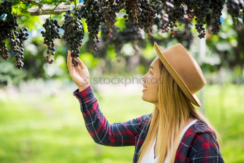 Similar – Young black woman eating a grape in a vineyard