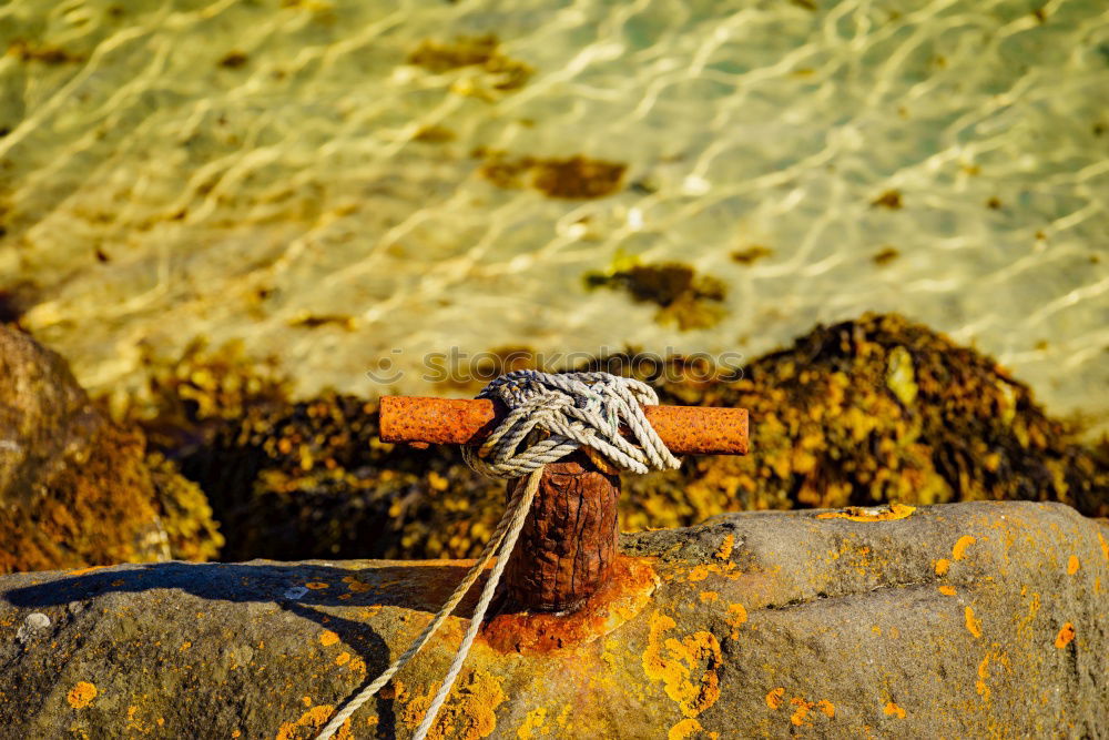 Similar – Foto Bild Erfrischung Strand