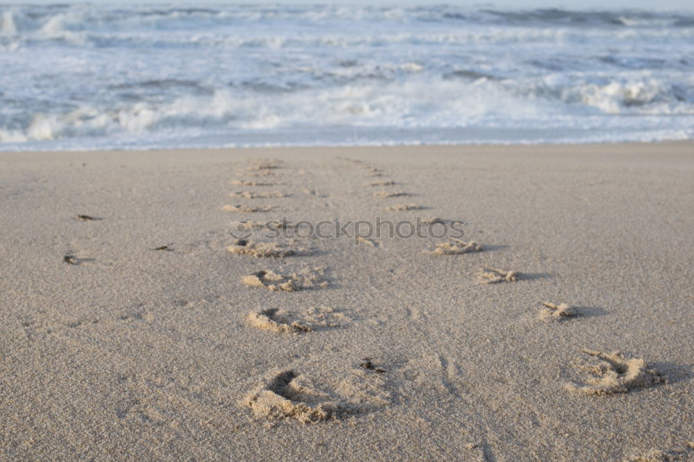 Similar – Image, Stock Photo go for a swim