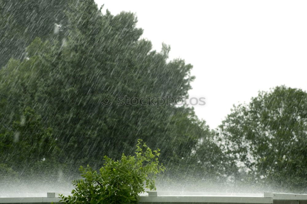 Similar – Foto Bild Regen-Party Farbfoto
