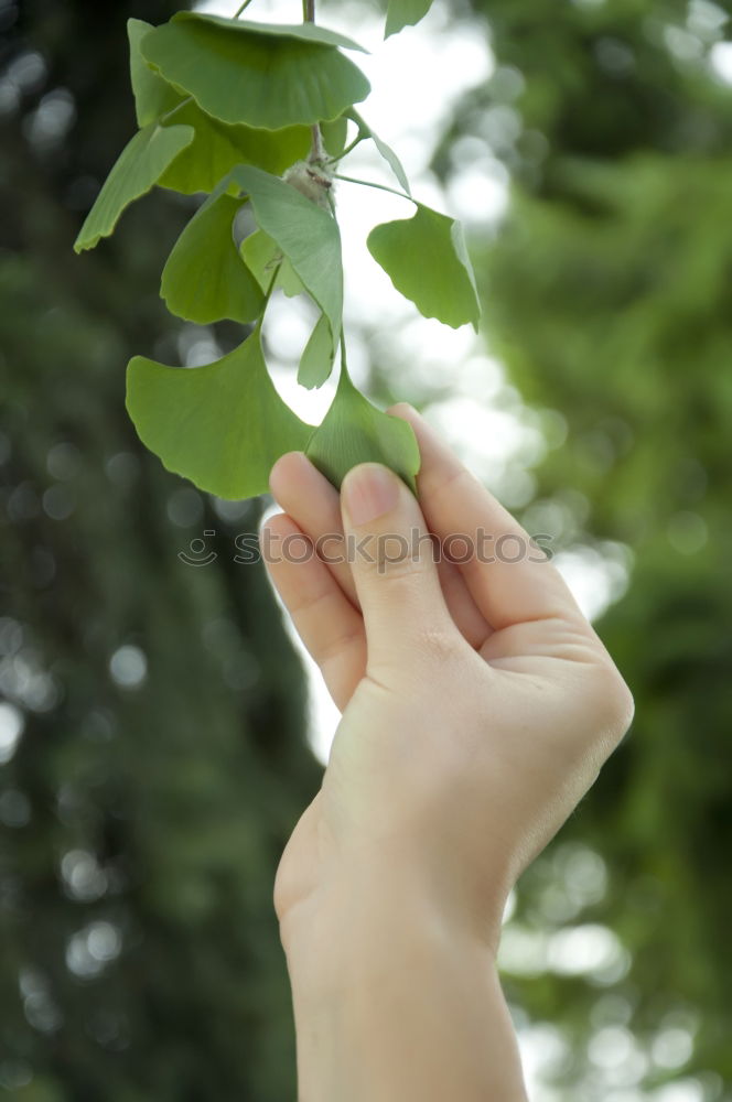 Image, Stock Photo happiness³ Human being